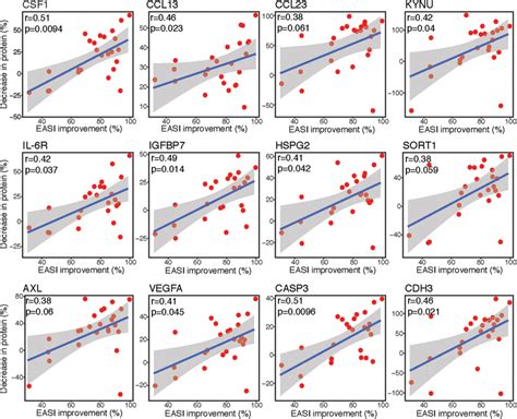 rank correlation.